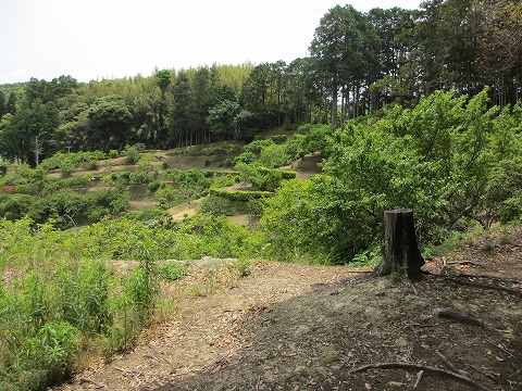 里見氏城跡稲村城跡