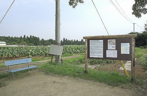 南大溜袋遺跡