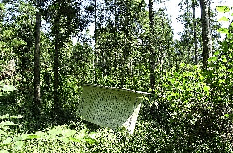 下小野貝塚 千葉県