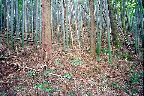 飯籠塚古墳