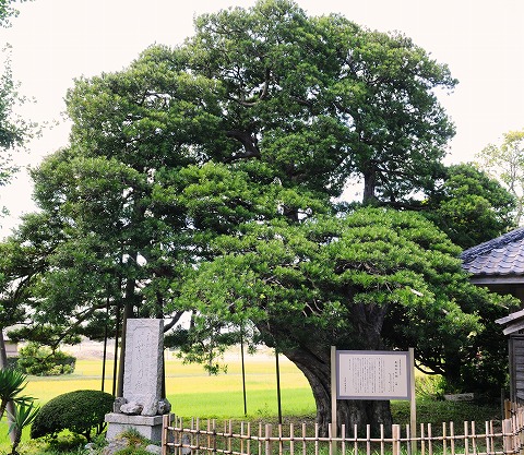 長福寺ノ槇