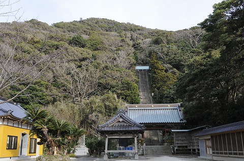 洲崎神社自然林