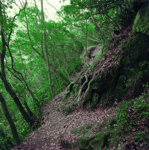 三石山自然林