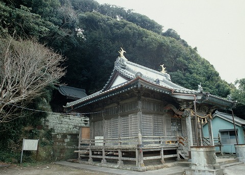 八坂神社の自然林
