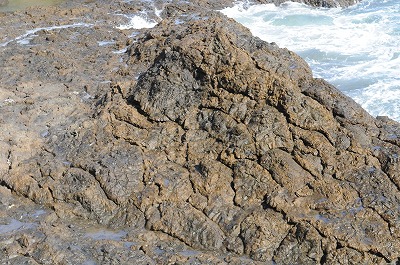 鴨川の枕状溶岩2