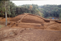 上福田13号墳　全景