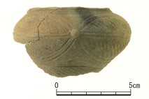 縄文時代土坑(SK008)出土の異形台付土器