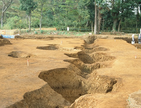 古墳時代竪穴住居跡(SI-002)の写真