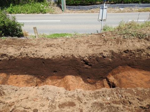 写真2　野馬堀完掘写真（南から）