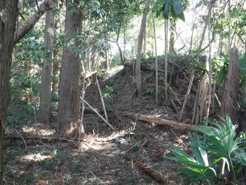 払込北辺土手 払込北辺土手