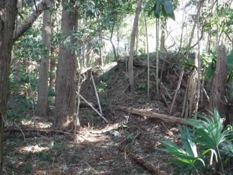 払込北辺土手