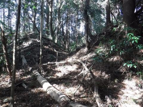 捕込開口部 捕込開口部