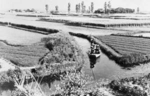 昭和30年ごろの水郷