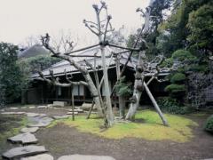 旧吉田家庭園＿書院庭園
