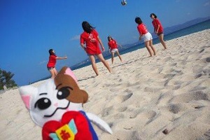 市川南_修学旅行の画像