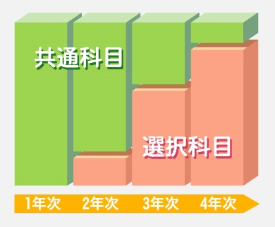 共通科目と選択科目の占める比率のイメージ図。一年次は共通科目のみだが、進級するにつれて選択科目の比率が増えていく。