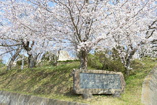 成東トップ 成東トップ