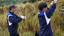 小田がけの様子の写真