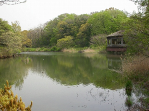 生態園の舟田池と野鳥観察舎の写真