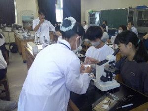 実験手順を説明する県立柏高校生と実験に取り組む中学生の写真2
