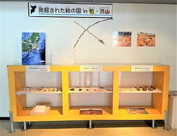 「さわやかコーナー」展示の様子の写真