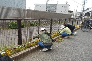 保護者数名がしゃがんで花壇の手入れをしている写真