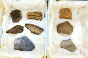 箱の中に複数の出土品が並んでいる写真