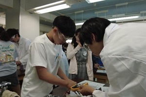 高校生が小学生のそばに立ち実験をサポートしている写真
