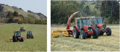 大型機械による牧草収穫作業並びにハーベスターによる牧草の切断