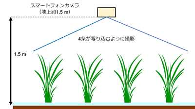 中干しアプリの撮影方法