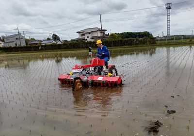 除草剤を用いない機械除草の試験