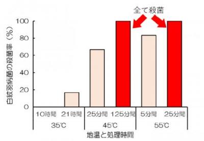 熱水処理による殺菌の結果