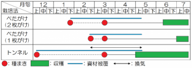 べたがけ栽培とトンネル栽培の栽培暦