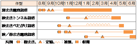 作型図