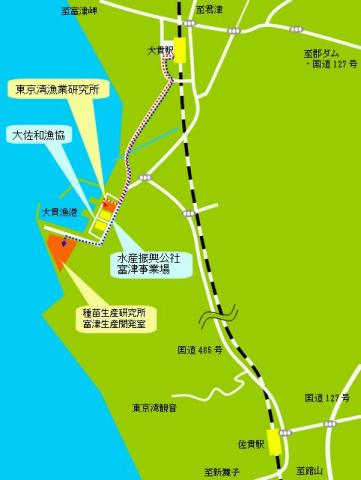 富津市大貫付近の地図