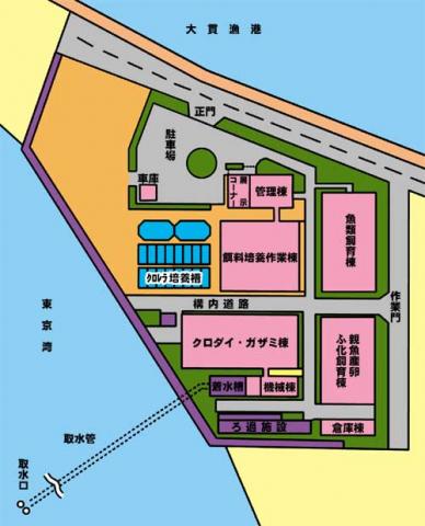 施設配置図