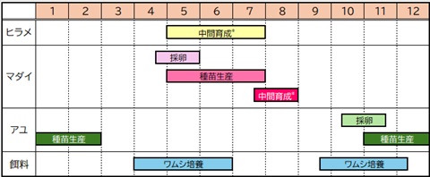 年間スケジュール