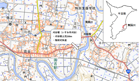 夷隅川魚道の地図