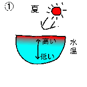 貧酸素水塊のでき方1