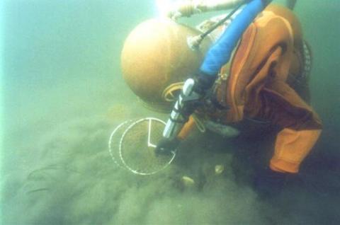 潜水器・水流で貝を掘り出している