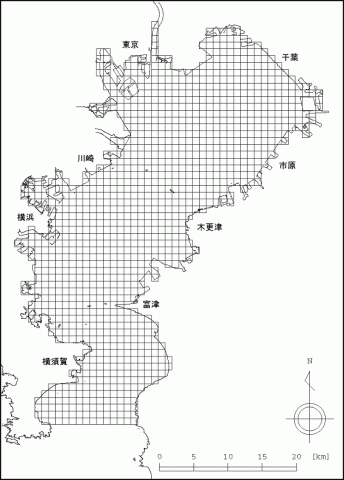 メッシュ図（ナウキャスト）