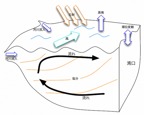 流動モデル