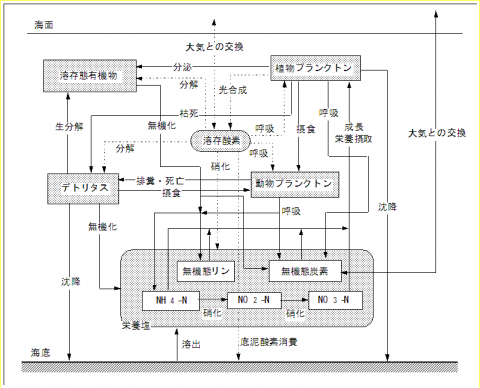 低次生態系モデル