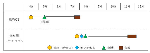 図1栽培スケジュールの図