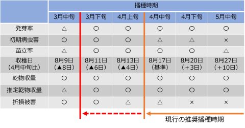 表1飼料用トウモロコシの試験のまとめの表