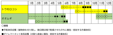 畑地での二毛作事例の栽培スケジュール