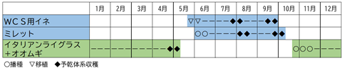 水田での二毛作事例の栽培スケジュール