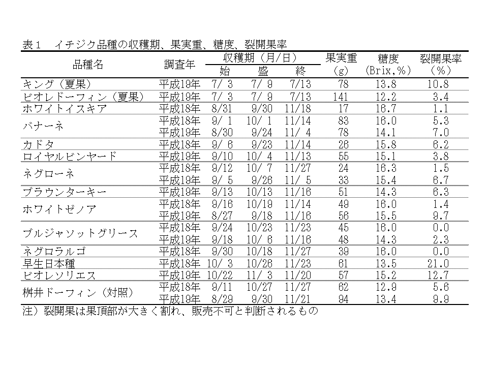 観光 直売に好適なイチジク品種 千葉県