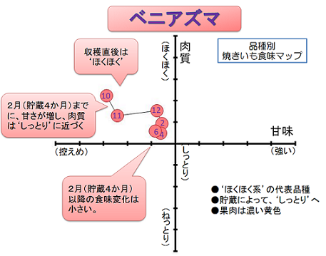 サツマイモの貯蔵による変化とポイント 千葉県 サツマイモの貯蔵による変化とポイント 千葉県