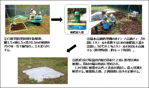 消毒法の処理方法